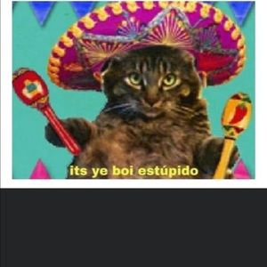 Meet your Posher, Ben